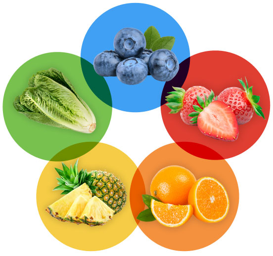 An arrangement of blueberries, strawberries, oranges, pineapple, and romaine lettuce, each placed in its own colorful circle to represent the variety of colors in a healthy diet.