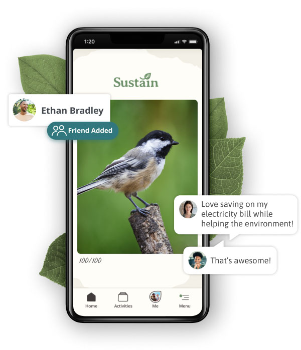 A mobile phone showing a photo of a chickadee revealed by logging activity.