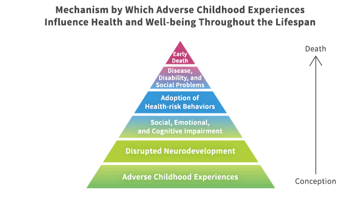 mechanism-by-which-adverse-childhood-experiences-influence-health-and-well-being-throughout-the-lifespan-ace